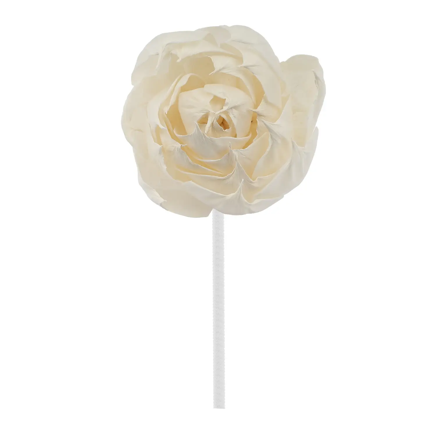 Floare Sola nr. 385 - imagine 2